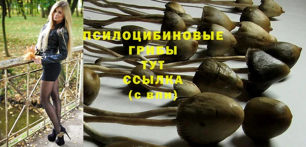 Альфа ПВП Лиски