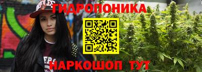 шишки Ирбит