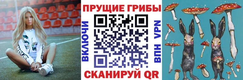 Псилоцибиновые грибы Cubensis  Киров 