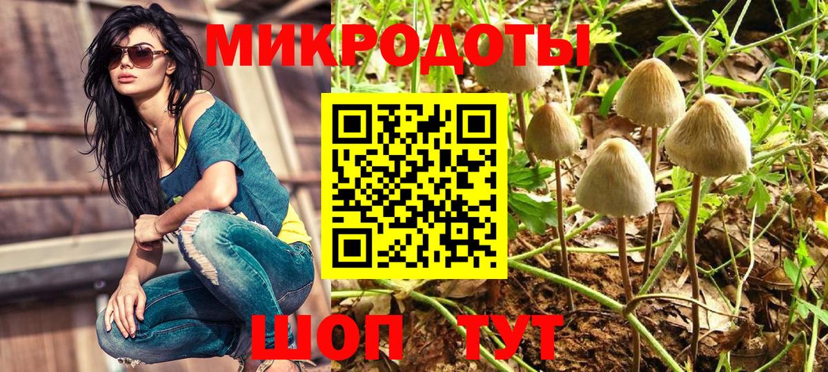 Киров  Галлюциногенные грибы GOLDEN TEACHER  Вход с VPN 