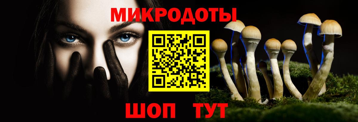 Псилоцибиновые грибы MAGIC MUSHROOMS  Киров 